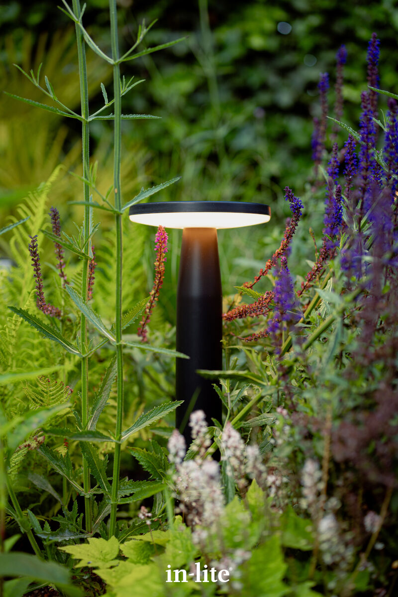 IN-LITE® DISC LOW bollard light - 12v Pathway & Planting Light