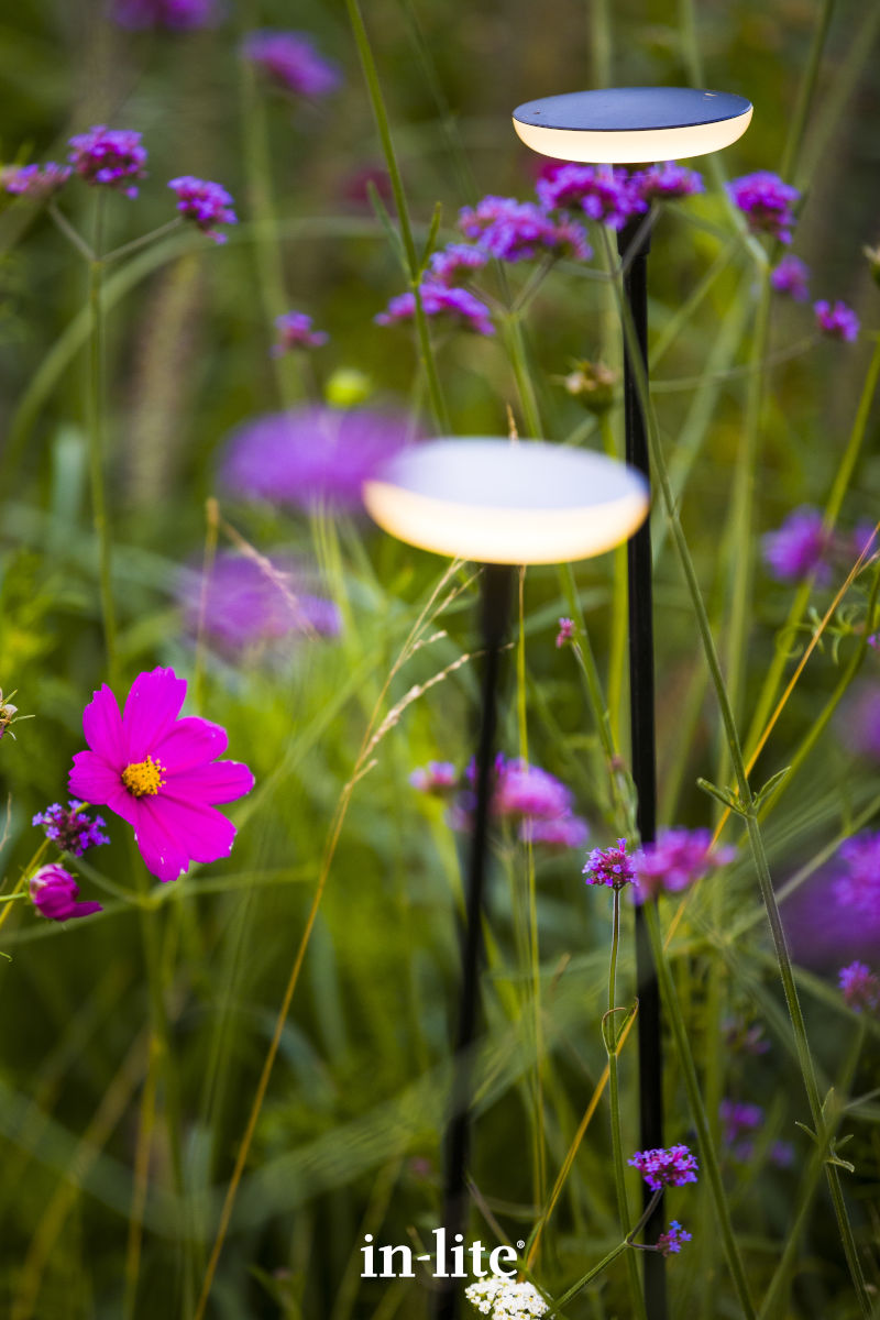 IN-LITE® SWAY - 12v Pathway & Planting Light